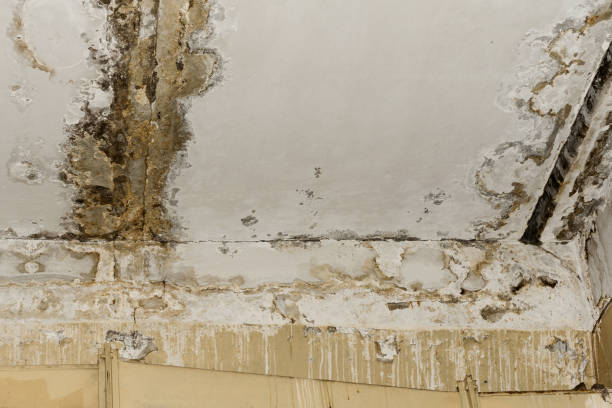 Trusted East Rockaway, NY Water damage restoration Experts